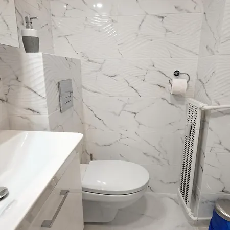 Bright Close To Alba Iulia Square With Wifi Daire